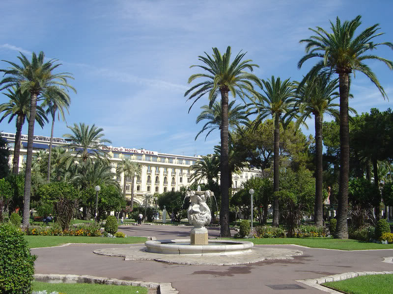 palm
