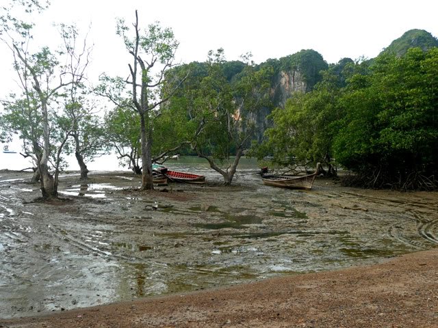 tide