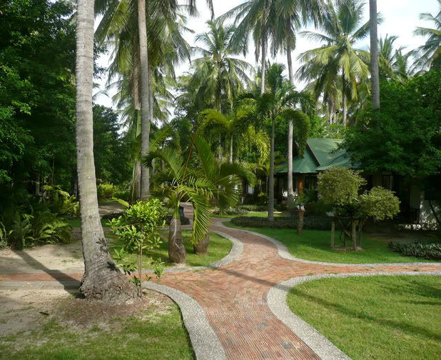 palm_path