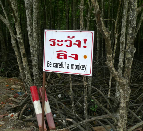 beware_monkey