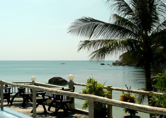 cafe_palm